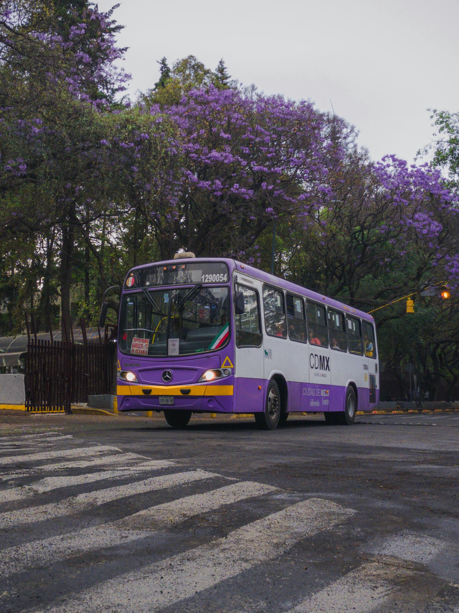 autobus representando de como moverse por méxico