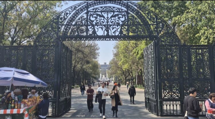 Screenshot_20250127_142039_Gallery (1) entrada bosque de chapultepec