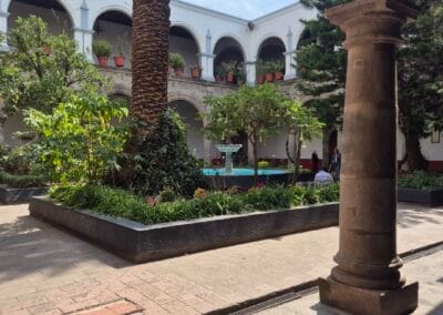 claustro de san juan baptista en coyoacan