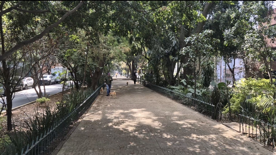CENTRO DE CONDESA CORAZÓN DE CONDESA
