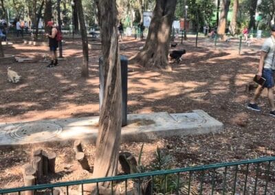 PARQUE ESPAÑA CONDESA