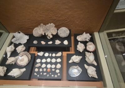 museo del templo mayor en cdmx