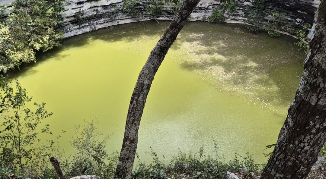 cenote sagrado cenote sagrado