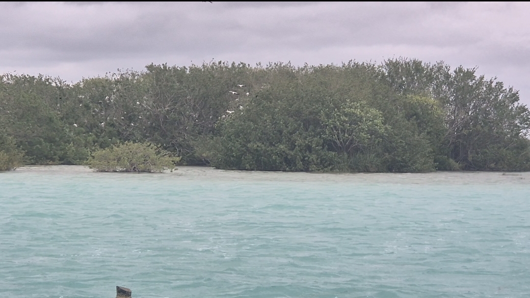 ISLA DE LOS PAJAROS ISLA DE LOS PAJAROS
