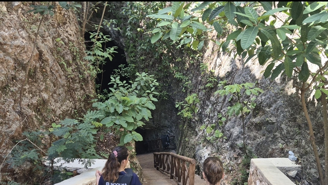 cenote noolha cenote noolha