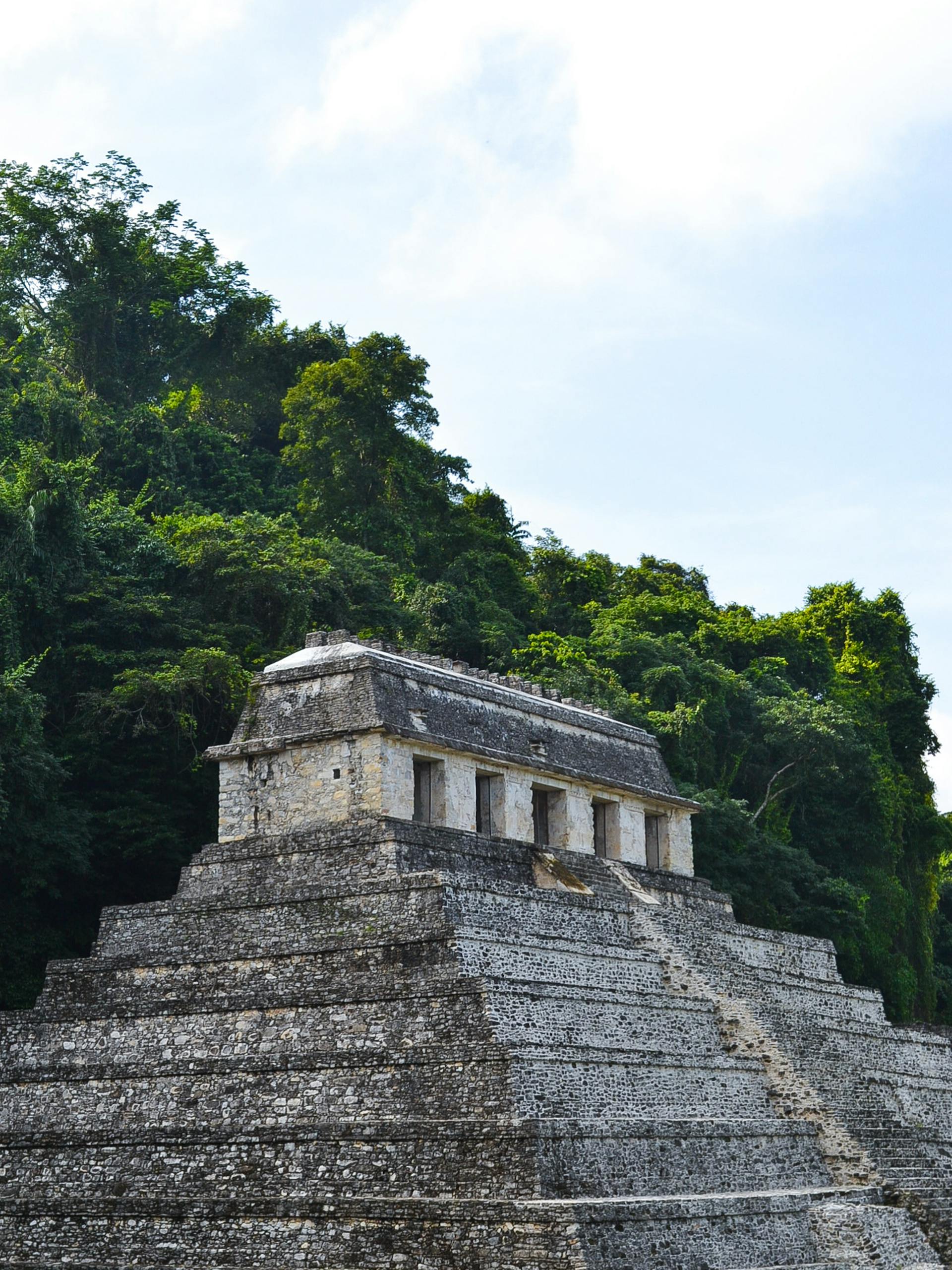 palenque que ver