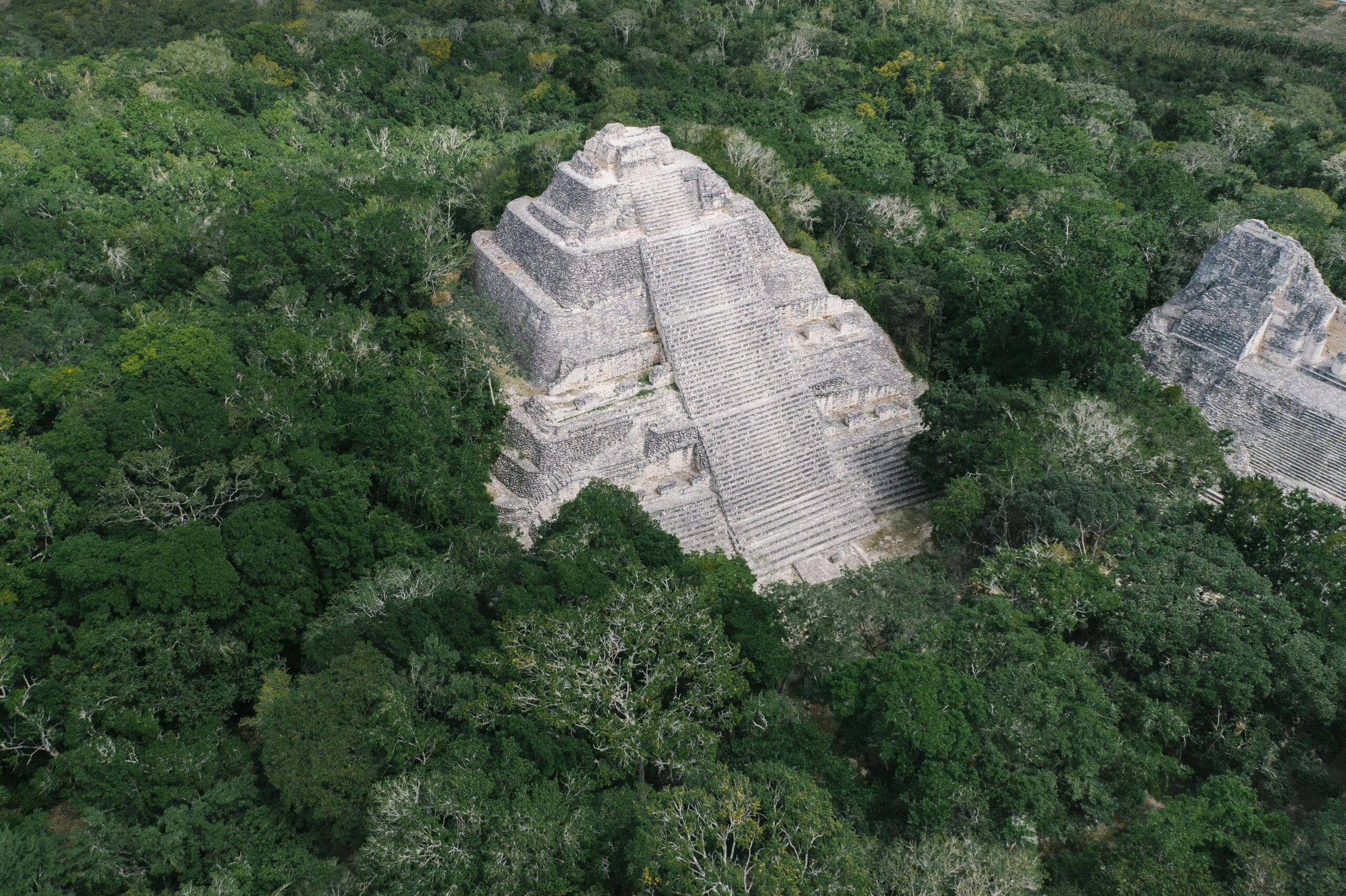 calakmul