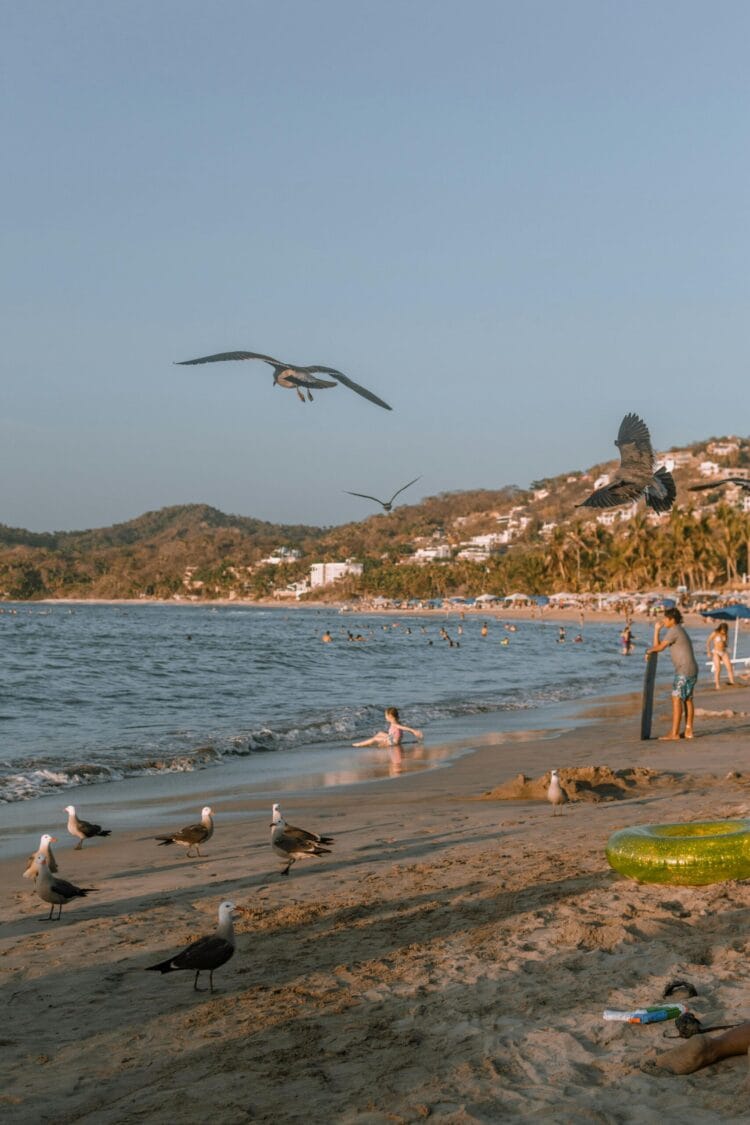 sayulita uno de los pueblos magicos de sayulita